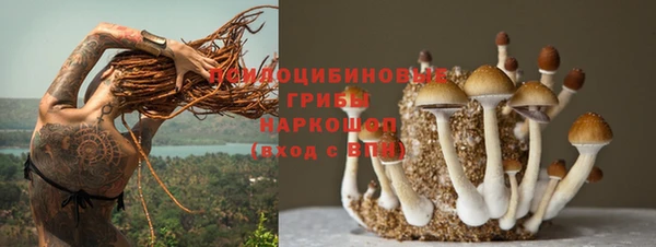 МДПВ Бронницы