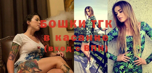 МДПВ Бронницы