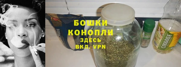 прущий лед Бородино
