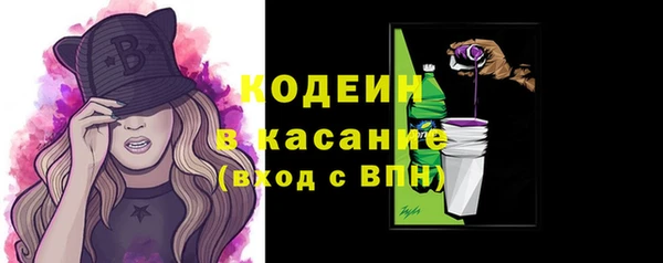 прущий лед Бородино