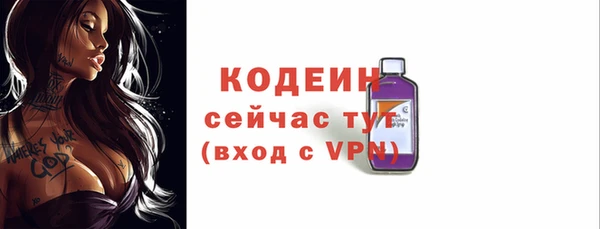 прущий лед Бородино