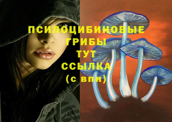 МДПВ Бронницы