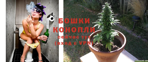 прущий лед Бородино