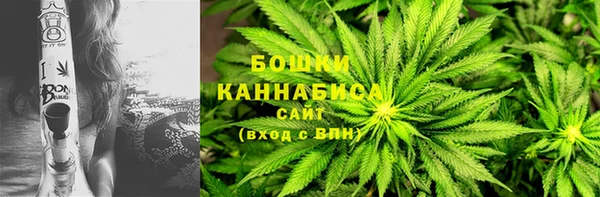 МДПВ Бронницы