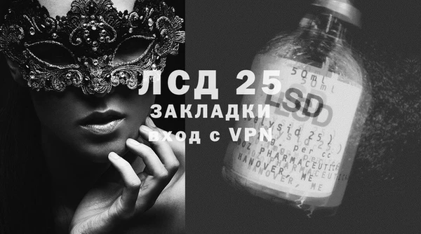 прущий лед Бородино