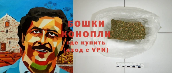 прущий лед Бородино